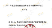青岛招标,聚焦创新与绿色，共筑美好未来